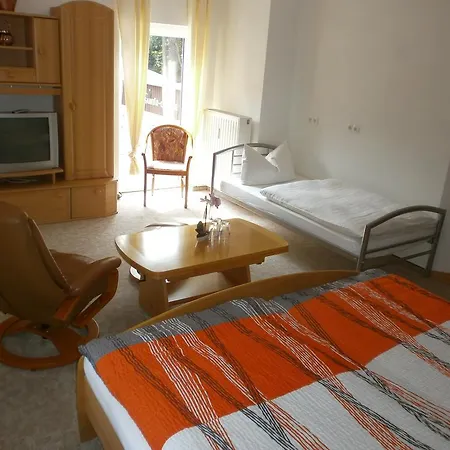 호텔 Alte Waldmuehle 3*