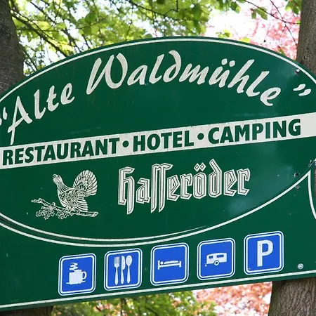 호텔 Alte Waldmuehle 3*