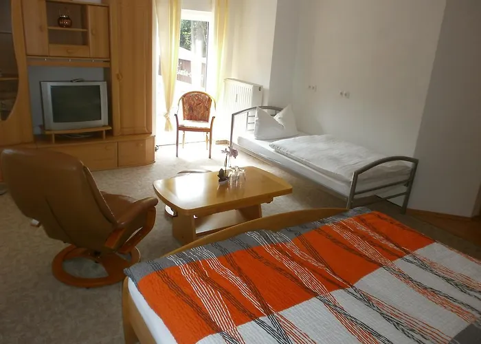 מלון Alte Waldmuehle 3*