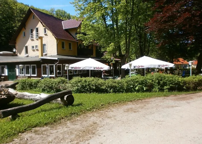 Alte Waldmuehle מלון 3*