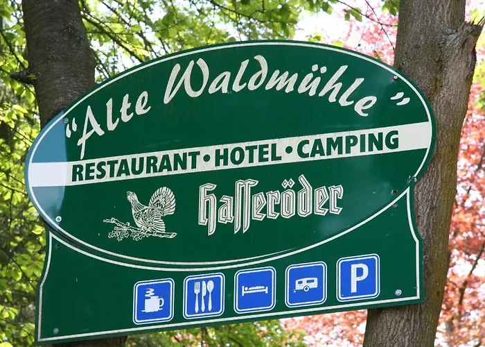 Hotell Alte Waldmuehle 3*
