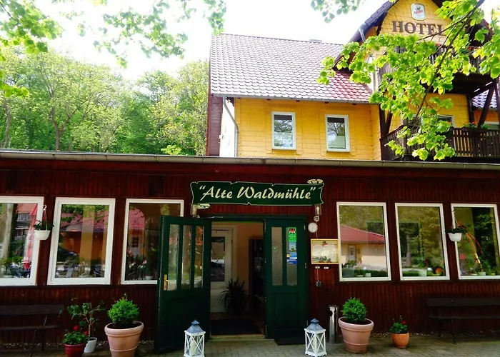 Alte Waldmuehle Hotell